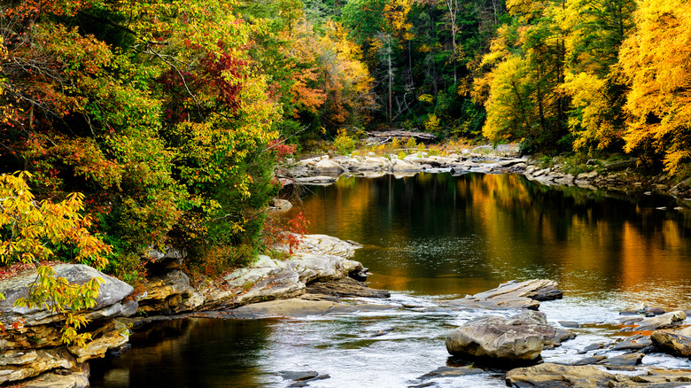 Autumn foliage around Middle Fork River in Audra State Park, West Virginia