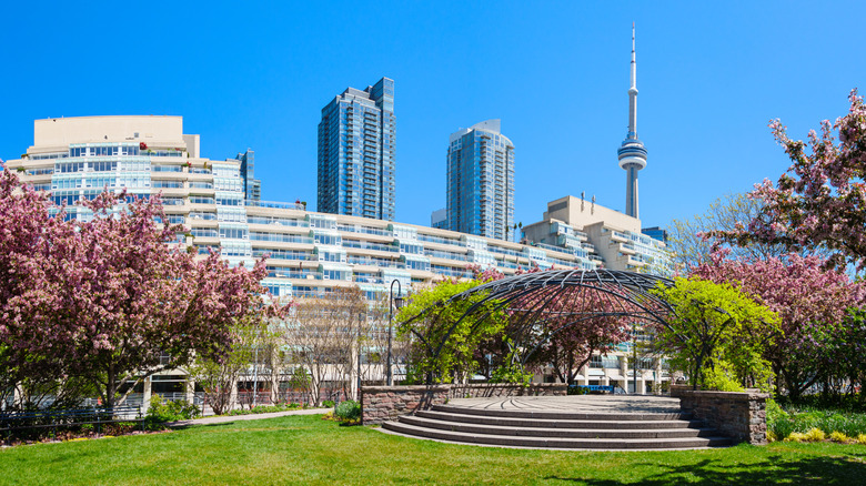Music Garden with band stand and cherry blossom trees in Toronto