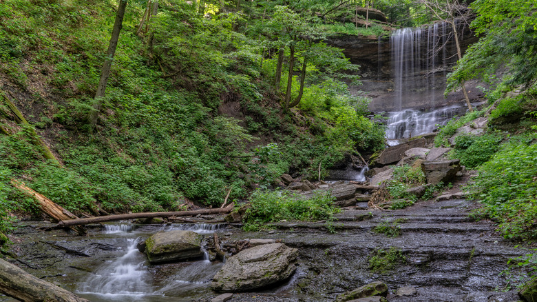 The Tinker Falls cascade off a rock ledge into a creek