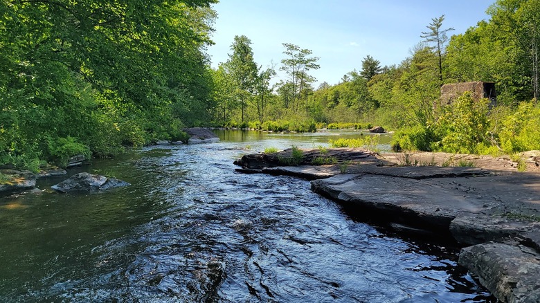 An area of Salmon River Falls with flat stones and trees on the bank