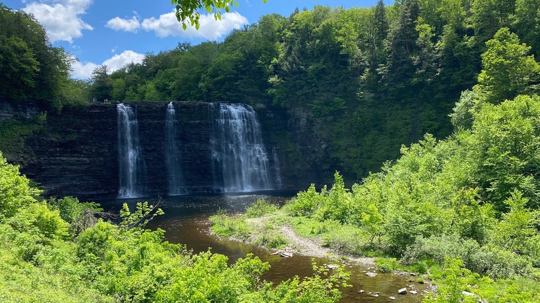 A shot of Salmon River Falls surrounded by trees