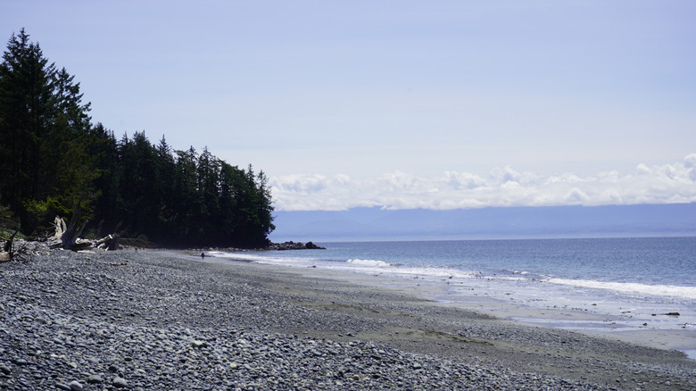 Beach on Juan de Fuca Provincial Park, British Columbia