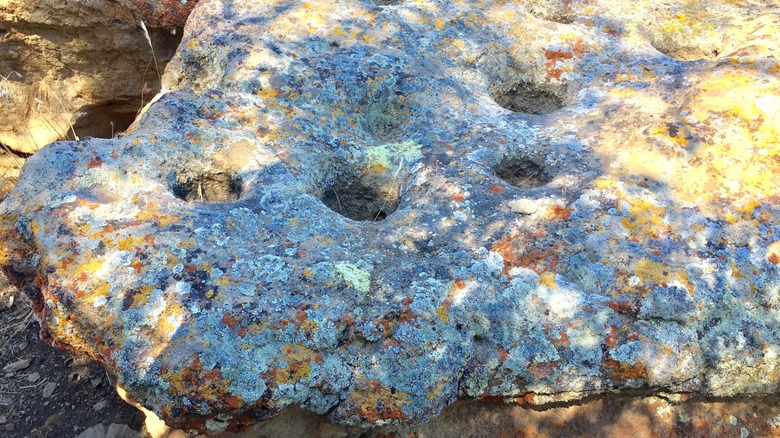 An ancient bedrock mortar at Tomo-Kahni State Historic Park