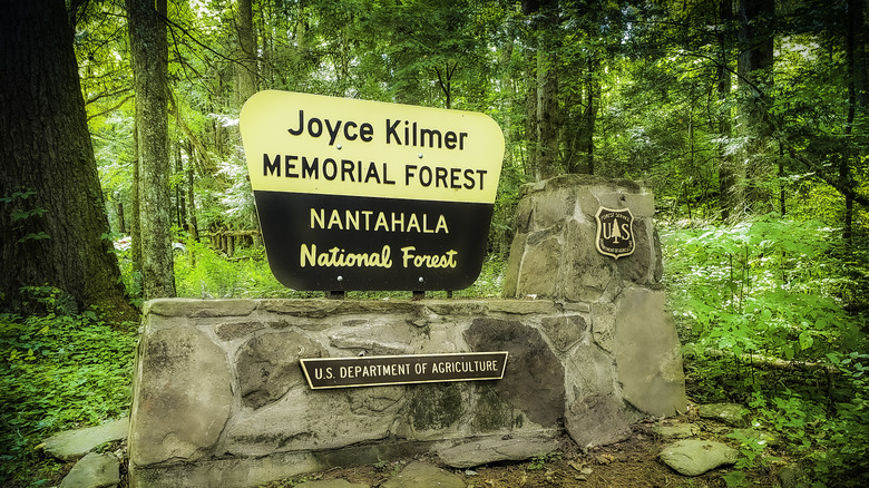 Entry sign to Joyce Kilmer Memorial Forest in North Carolina's Nantahala National Forest