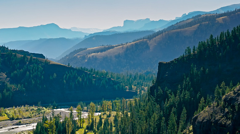 Long vista through Shoshone National Forest in Wyoming