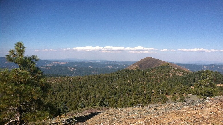 A forested viewpoint on a clear day in Six Rivers National Forest in California