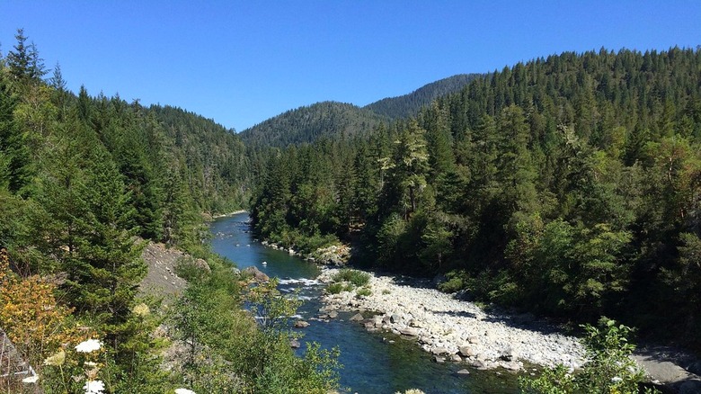A view of California's Smith River in Six Rivers National Forest with pine tree-covered hills on either side and in the distance against a blue sky.