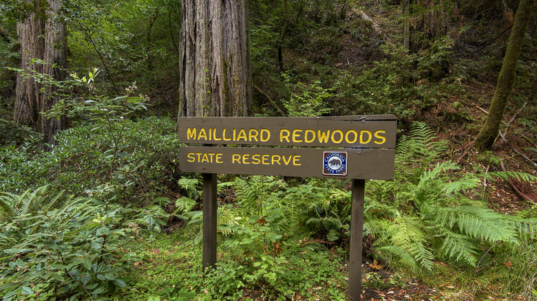 This is a picture of the sign for the Mailliard Redwoods State Reserve