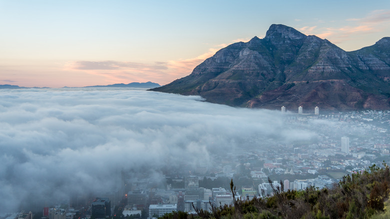 Thick fog covers Cape Town, South Africa