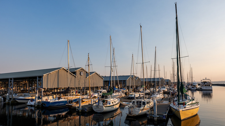 Boats galore float in the harbor at Edmonds, Washington