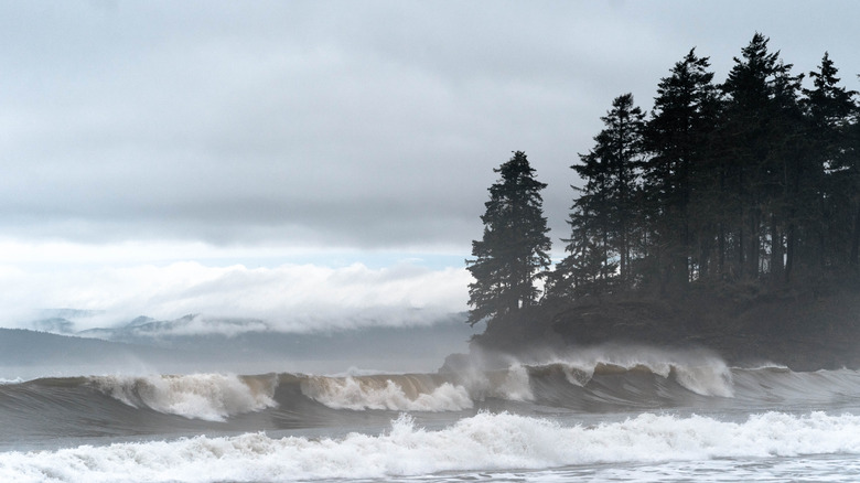View of waves gray crashing on the beach at Port Angeles, Washington, near towering dark pine trees