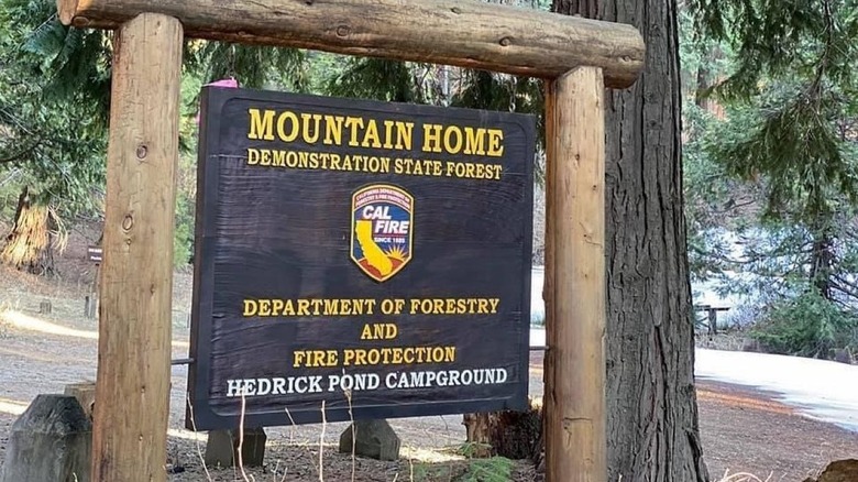 Mountain Home Demonstration State Forest Sign