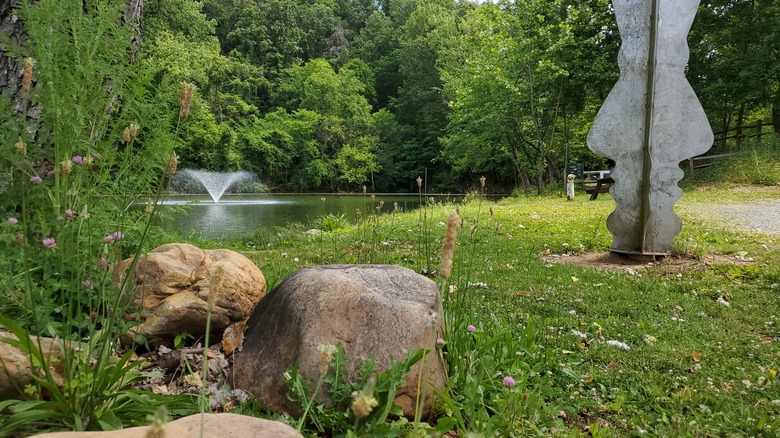 wild flowers, shrubs, and trees grow around the pond at the entrance of Big Gem Park in Shenandoah