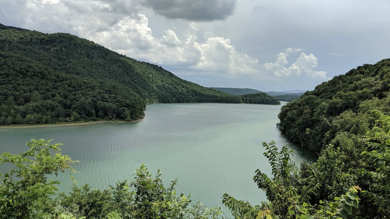 The wooded shores of Lake Moomaw reflected off the surface of the water