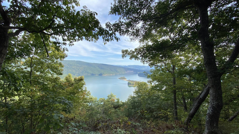 View of Lake Moomaw through the trees from the Bolar Loop Trail.