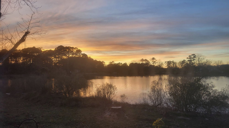 Wintery trees ringing still water at sunset in White Stone, a town in Lancaster County, Virginia