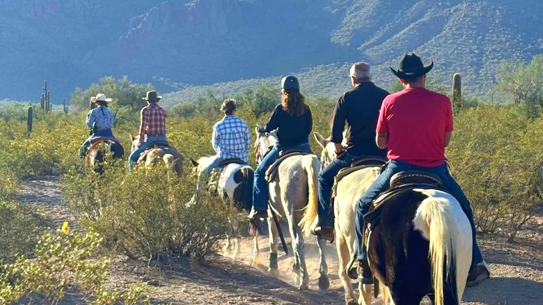 Six horses with riders in the desert trails near White Stallion Ranch in Tucson Arizona