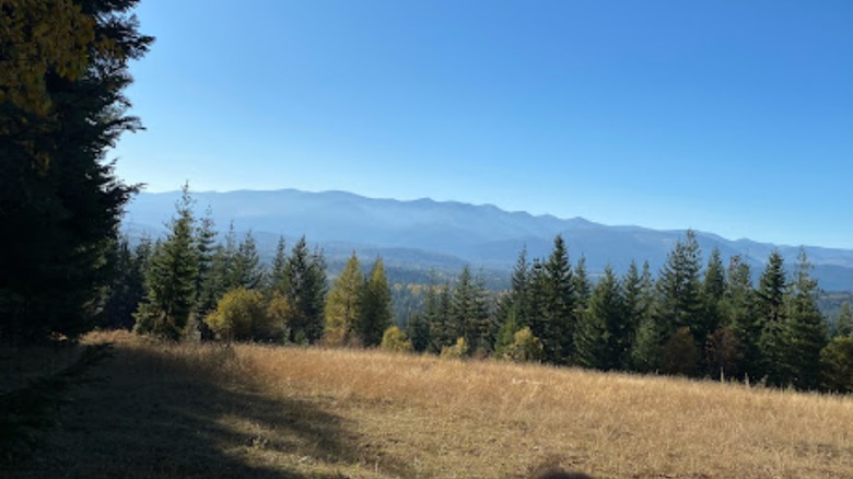 The views from Western Pleasure Guest Ranch