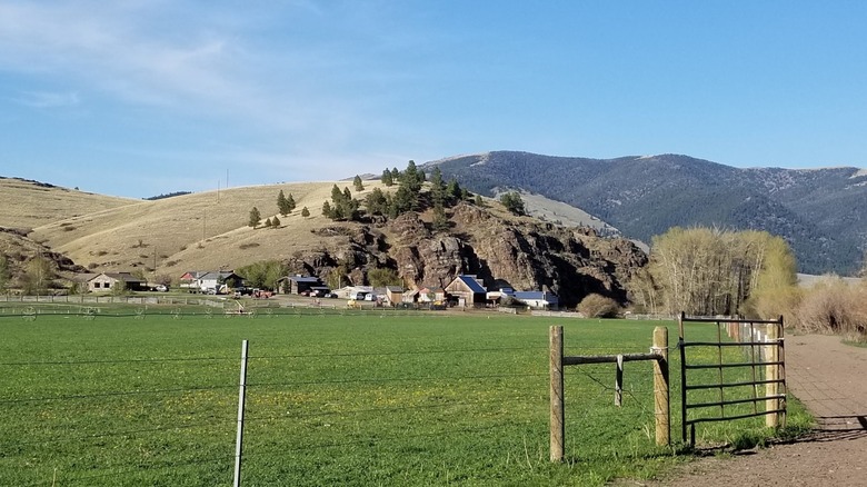 A dirt road leads to the barn, ranch house, and other facilities at Rocking Z Guest Ranch