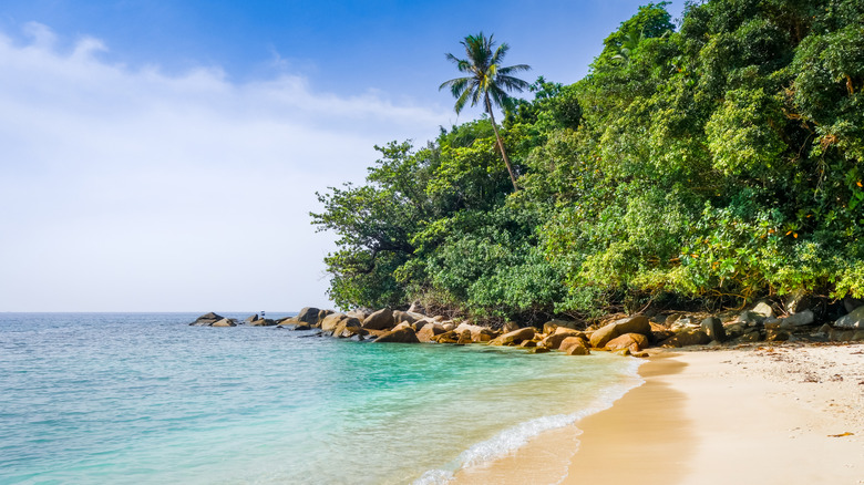 The clear water and lush forest at a beach in The Perhentian Islands, Malaysia