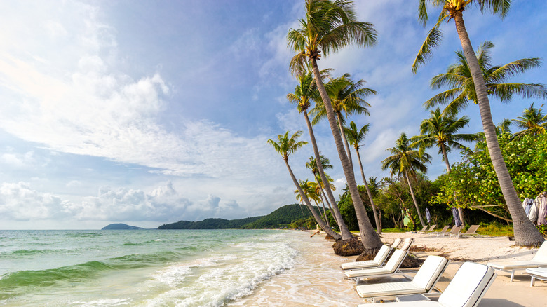 Sunbeds under tropical palms on Sao beach on Phú Quốc Island, Vietnam