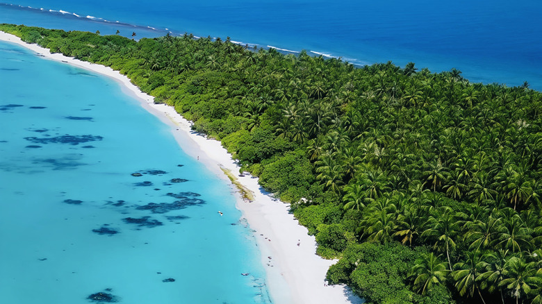 aerial view of a white-sand beach on Dhigurah Island fronted by turquiose blue waters with palms and other foliage behind it
