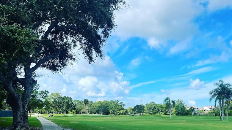 wide shot of Dunedin Golf Club course in Florida framed by tall tree and blue sky