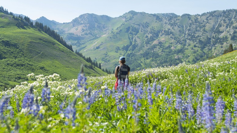 A person wearing a hat and backpack standing in a vast rolling meadow looking out to distant hills and mountains.