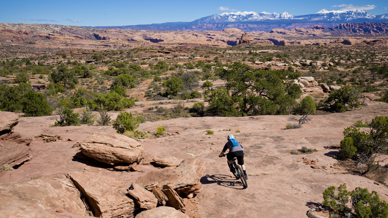 A cyclist traversing brown terrain amidst green trees in the La Sal mountains in Utah.