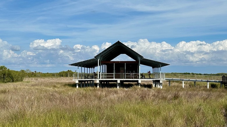 A section of the Big Cypress Bend Boardwalk at Fakahatchee Strand Preserve