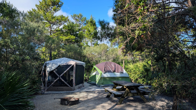 Tent campsite at Topsail Hill Preserve State Park