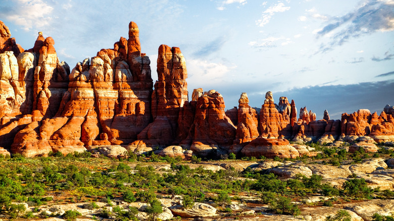 Chesler Park sandstone formations in the Needles District of Utah's Canyonlands National Park