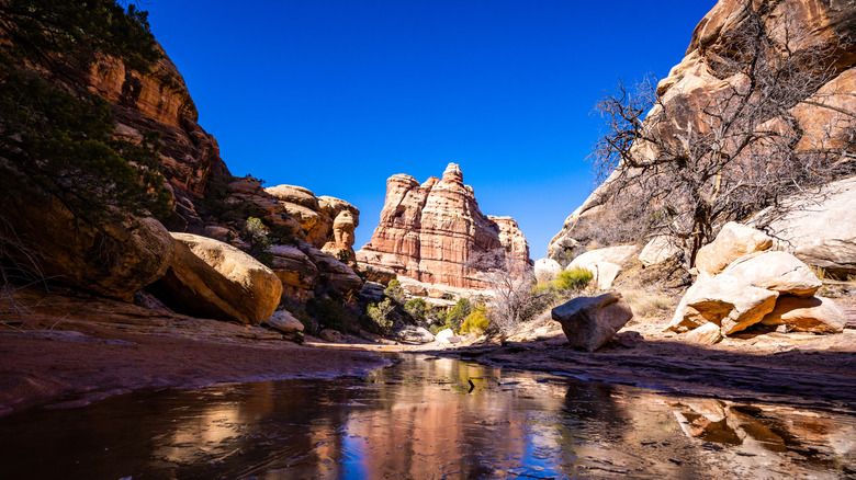 A view from Elephant Canyon on the way to Druid Arch in Canyonland National Park's Needles District