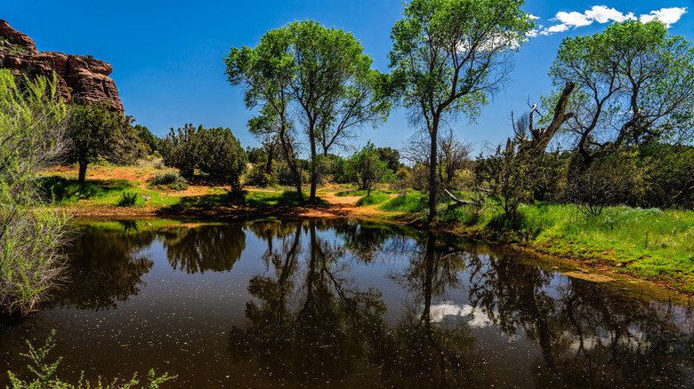 A lake on the way to the Loy Canyon Trail in Sedona, Arizona