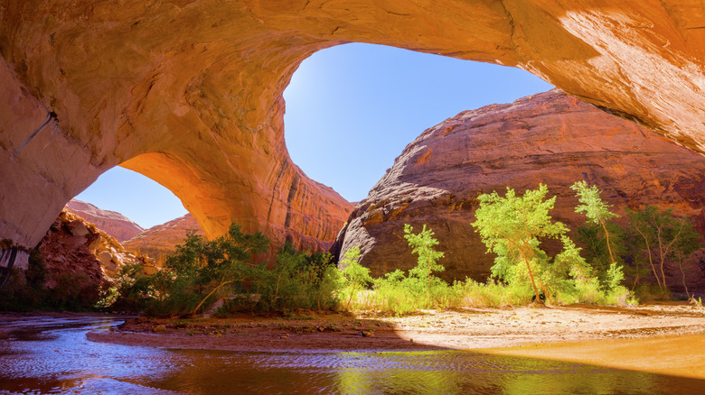 The red rock arch of the Jacob Hamblin Arch over trees and water