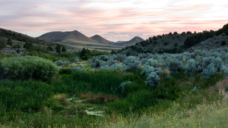 Sunset at Wolverine Canyone with vegetation and foothills