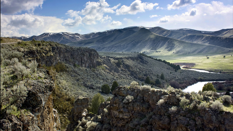 A creek running through Wolverine Canyon in Idaho