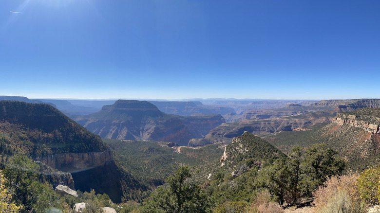the Grand Canyon during the day, as seen from Timp Point on the Rainbow Rim Trail