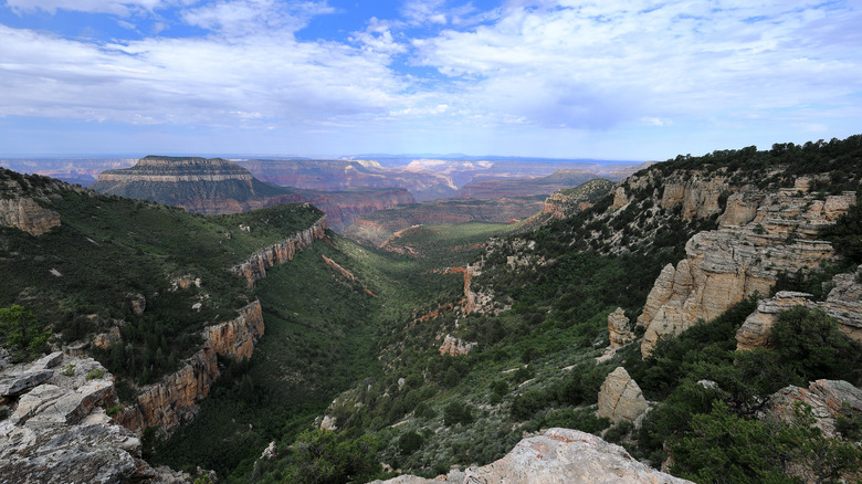 uninterrupted panoramic views of the Grand Canyon from Locust Point along the Rainbow Rim Trail