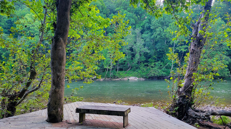 A bench sitting next to the peaceful river in Big South Fork National River & Recreation Area