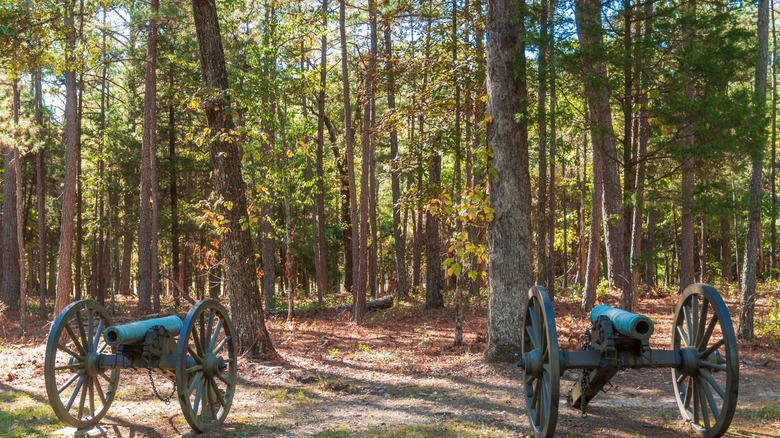 Cannons on display at Chickamauga & Chattanooga National Military Park