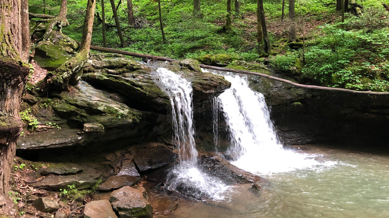 A waterfall at Frozen Head State Park