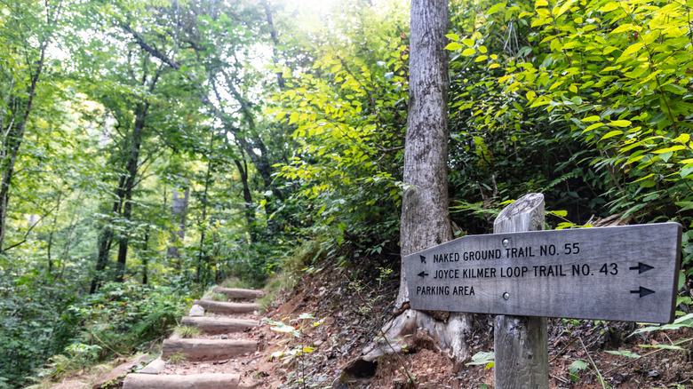 A trail and sign at Joyce Kilmer Memorial Forest