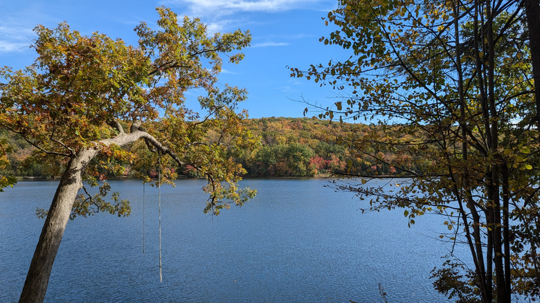 Lake Aeroflex in Kittatinny Valley State Park