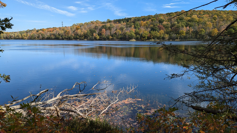 Lake Aeroflex in Kittatinny Valley State Park