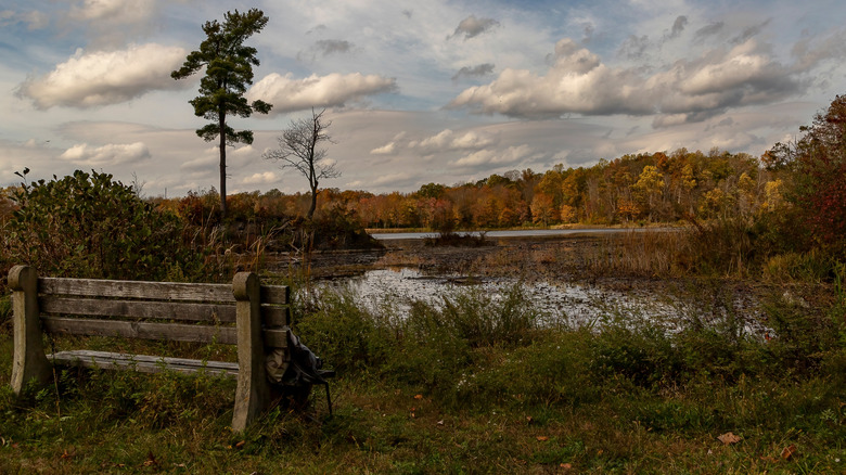 Park bench overlooking pond along a trail in Kittatinny Valley State Park
