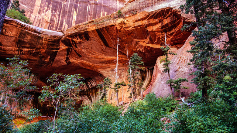 Streaked sandstone cliffs along the Taylor Creek Trail in Zion National Park