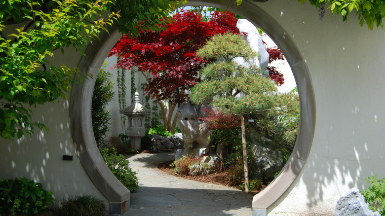 A circular entrance opens into the Bonsai and Penjing Museum in Washington, D.C.