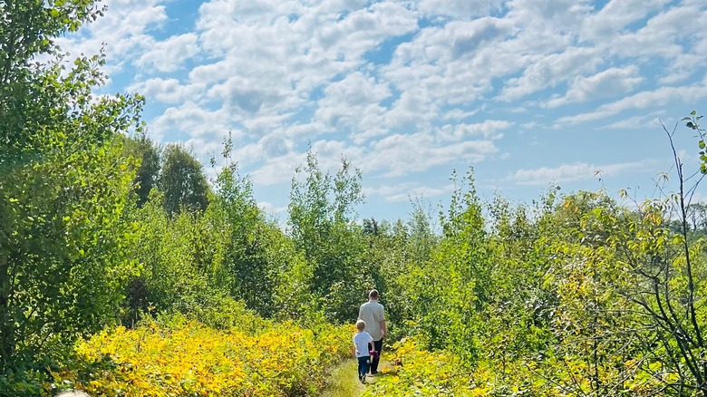 A father and sone walking on a path through a small meadow of wildflowers with bright summer forest all around