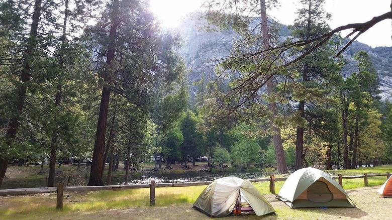 Tents by the Merced River in the Lower Pines Campground in Yosemite National Park